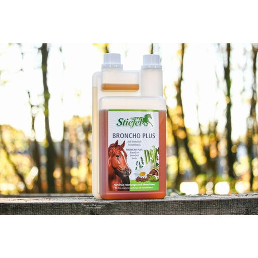 Stiefel Vražji krempelj -narezan 1 kg Teufelskralle