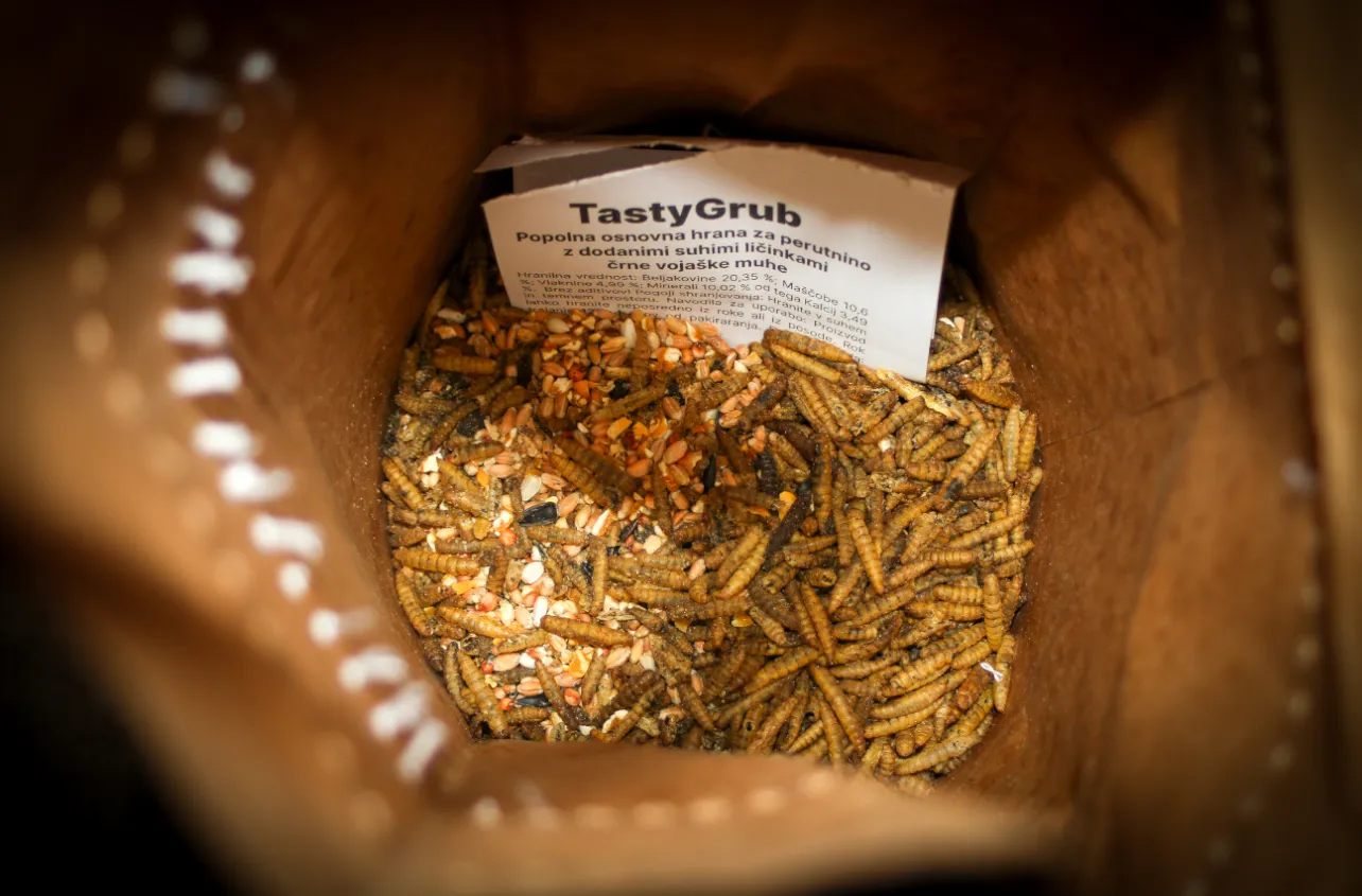 Tasty Grub hrana za perjad